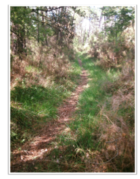 sentiers